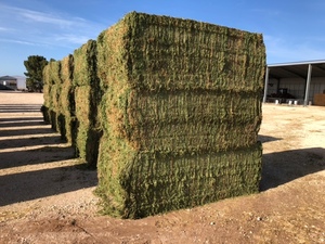 100mt Vetch Hay 8x4x3 Bales