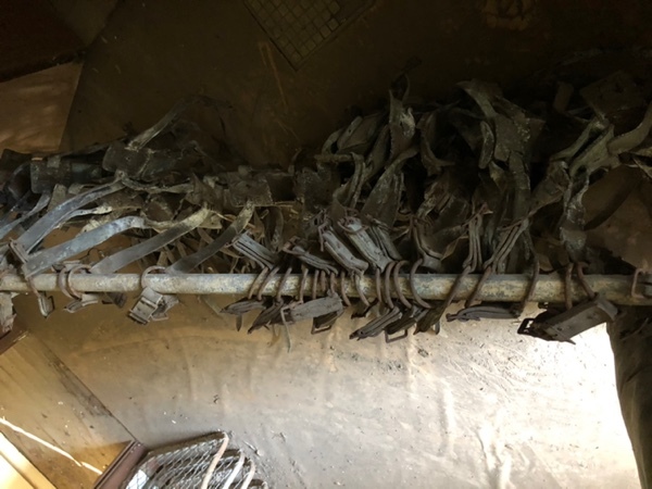 Under Auction - Ram Harnesses - 2% + GST Buyers Premium On All Lots 