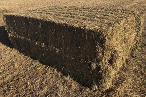 44 x Vetch Hay 650kg 8x4x3 Bales 