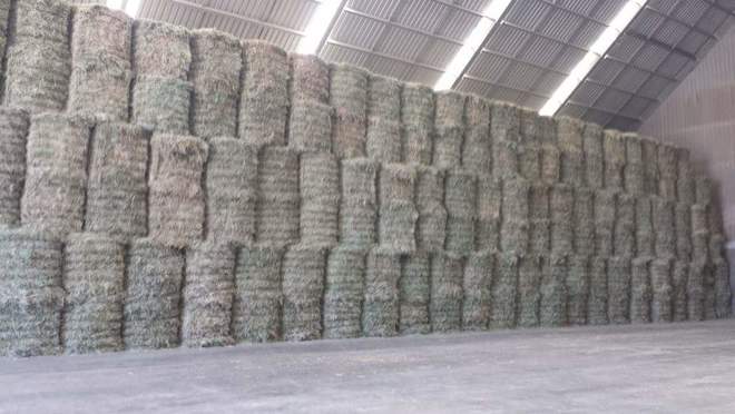 Hay shed for Lease  EOI