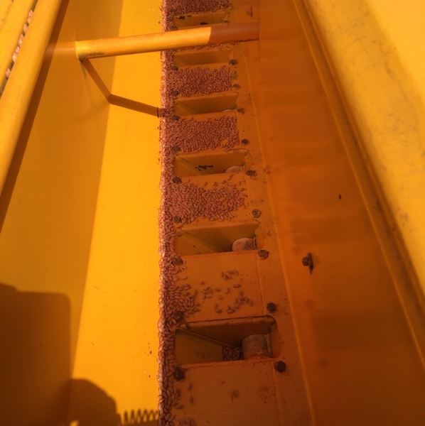 Connor Shea trailing seeder 