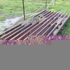 Under Auction - SOLD -  Heavy Duty Cattle Grid - 2% Buyers Premium On All Lots 