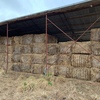 Straw 8 string 8x4x3 bales price is per bale