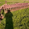 international 22 disc one way plough