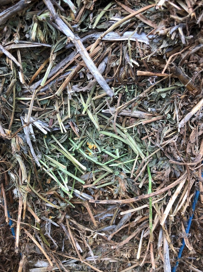 250mt Vetch Hay 600kg 8x4x3 Bales