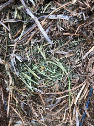 250mt Vetch Hay 600kg 8x4x3 Bales