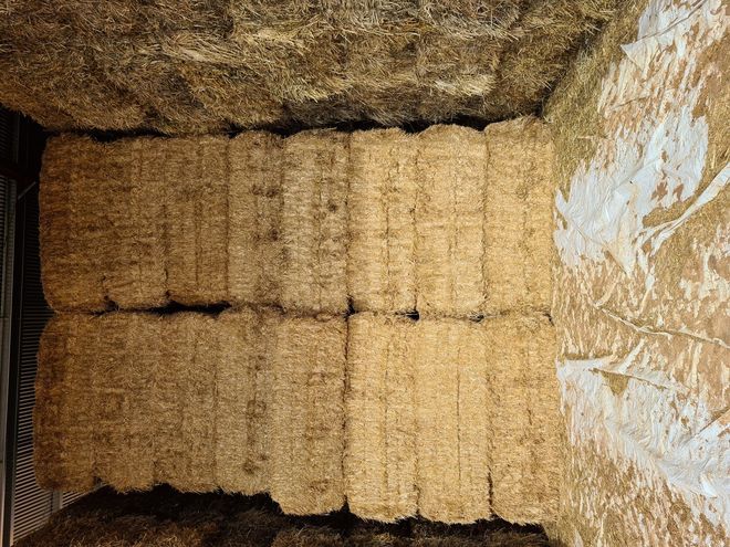 Wheat Straw Tailings 8x4x3