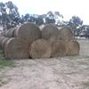 70 m/t Oaten Hay 5x4 Rolls 500kg's