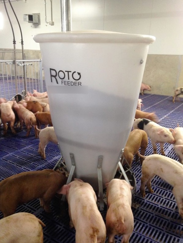 WANTED Pig Feeders & Roto Feeders