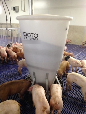 WANTED Pig Feeders & Roto Feeders