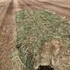Oaten Hay 8x4x3 Bales
