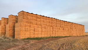 500mt Barley Straw 480-520kg 8x4x3 Bales