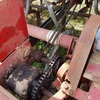 Napier Grasslands 28 run Trash Seeder ##PRICED REDUCED##