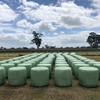 142 bales lucerne Hay bales 300/t  Ist and 2nd cut 2019