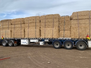 Barley Straw 8x4x3 Bales