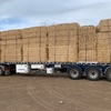 Barley Straw 8x4x3 Bales