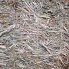 Canola Hay 8x4x3 x 88 Bales