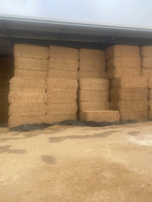 Oaten/Lucerne Hay