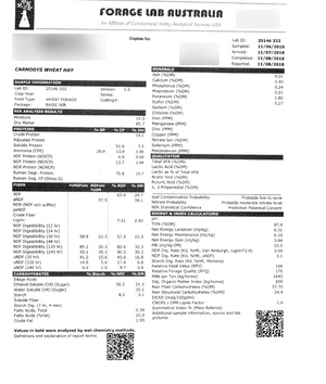 40mt Wheaten Hay 750kg approx 8x4x3 Bales