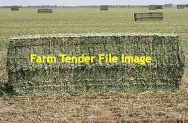 20mt Ryegrass & Clover Hay 8×4×3 Bales