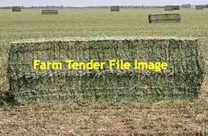 20mt Ryegrass & Clover Hay 8×4×3 Bales