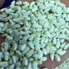 Graded Safflower for sale