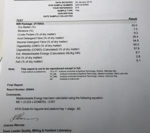 Wheaten Hay 8x4x3 HD Bales
