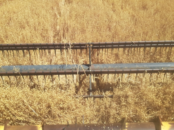 27 Run Napier Combine