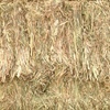 170mt Wheaten Hay 'New Season' 650kg approx 8x4x3 Bales