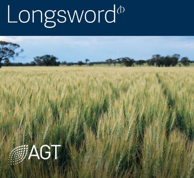 AGT Longsword Wheat Seed