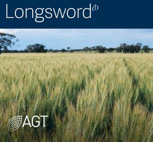 AGT Longsword Wheat Seed