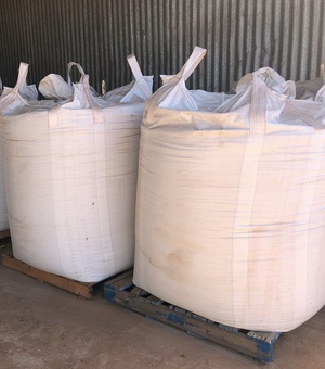 Wheat Seed x 2 Bulka Bags