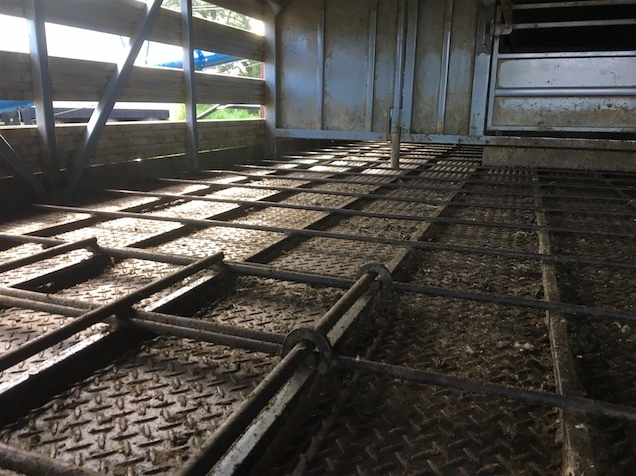 2004 Iveco Eurocargo ##PRICE REDUCED##