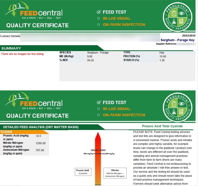 SSS Forage Sorghum Hay For Sale x 2 Cuts