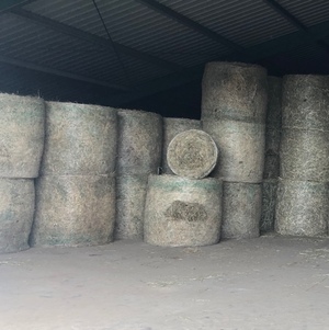 22 x Feed Lucerne 4x4 Round Bales