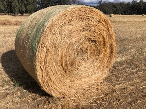 Oaten Hay Rolls 5x4