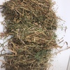 vetch hay in round rolls 