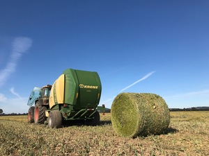 Contract Haymaking- Immediate Start
