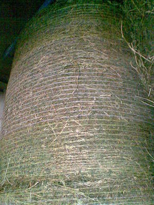 4x4 Lucerne & Pasture Bales