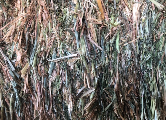 250mt Wheaten Hay 650kg 8x4x3 Bales