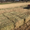 small hay bales