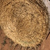 Wheaten Hay Rolls For Sale Ex Farm or Can Freight