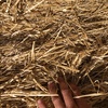 200mt Cereal Straw 450 Kgs 8x4x3 Bales Header Trailed