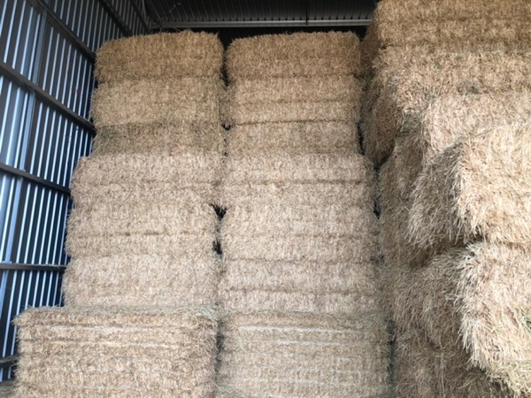 Wheaten Hay