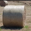 Pasture Hay Rye/Clover 80/20 300 plus Bales