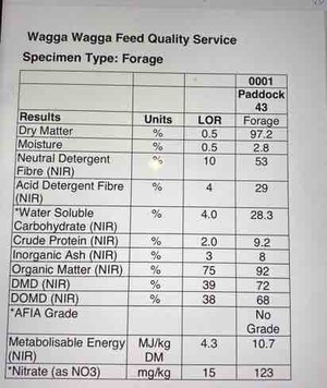 New Season Wheaten Hay 8x4x3 Bales