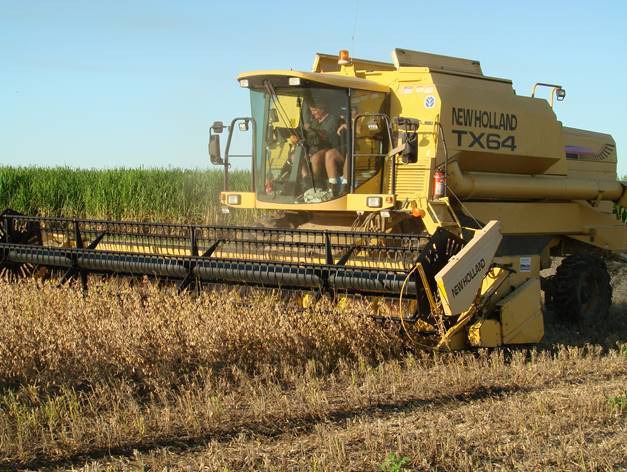 TX64  New Holland Header