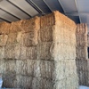 Oaten Hay 620kg 8x4x3 Bales