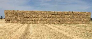 200 m/t of New Season Oaten Hay 8x4x3 640 Kg's Ave