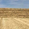 200 m/t of New Season Oaten Hay 8x4x3 640 Kg's Ave